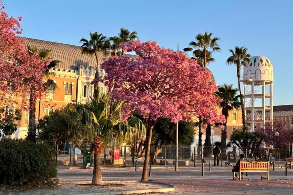 Apartamento Jacaranda ムルシア エクステリア 写真